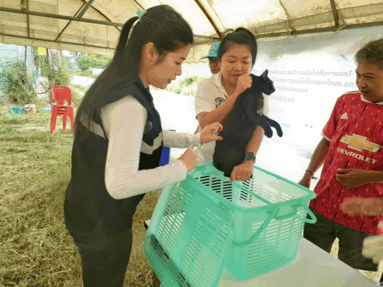 ลงพื้นที่ฉีดวัคซีนป้องกันโรคพิษสุนัขบ้า ประจำปีงบประมาณ พ.ศ.2568